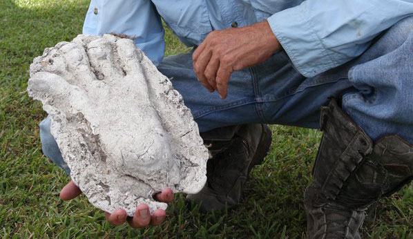 Dave Shealy's foot print of Florida's Skunk Ape