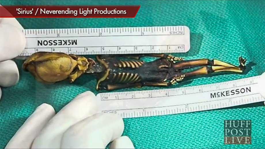 A six inch alien skeleton was one of the major alien and UFO events revealed in 2013